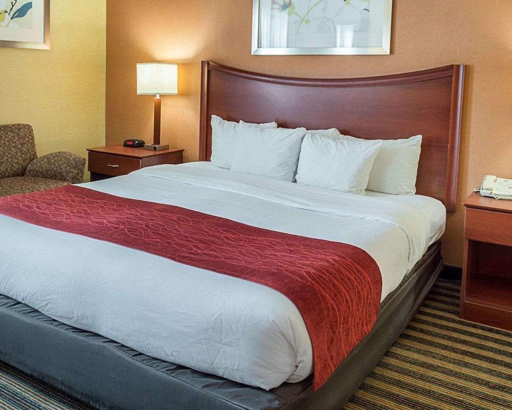 Comfort Inn Petersburg Near Fort Gregg-Adams Bagian luar foto