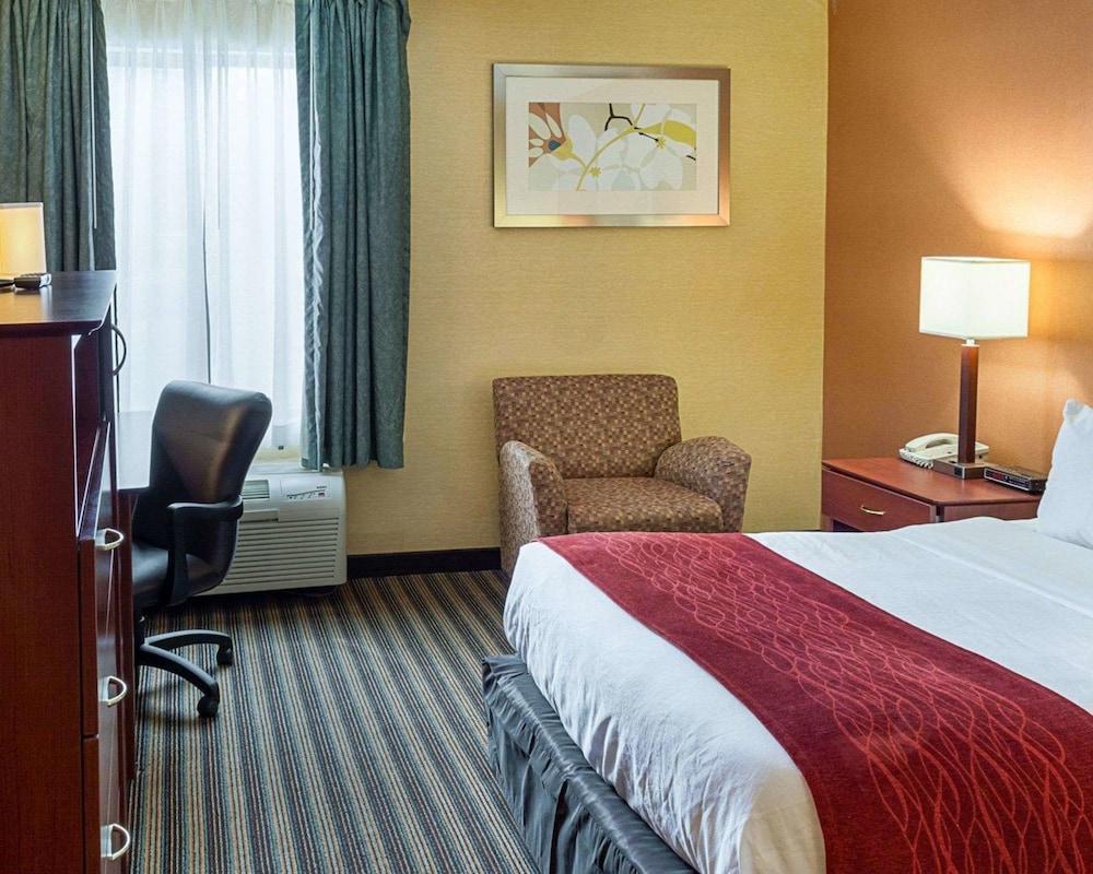 Comfort Inn Petersburg Near Fort Gregg-Adams Bagian luar foto
