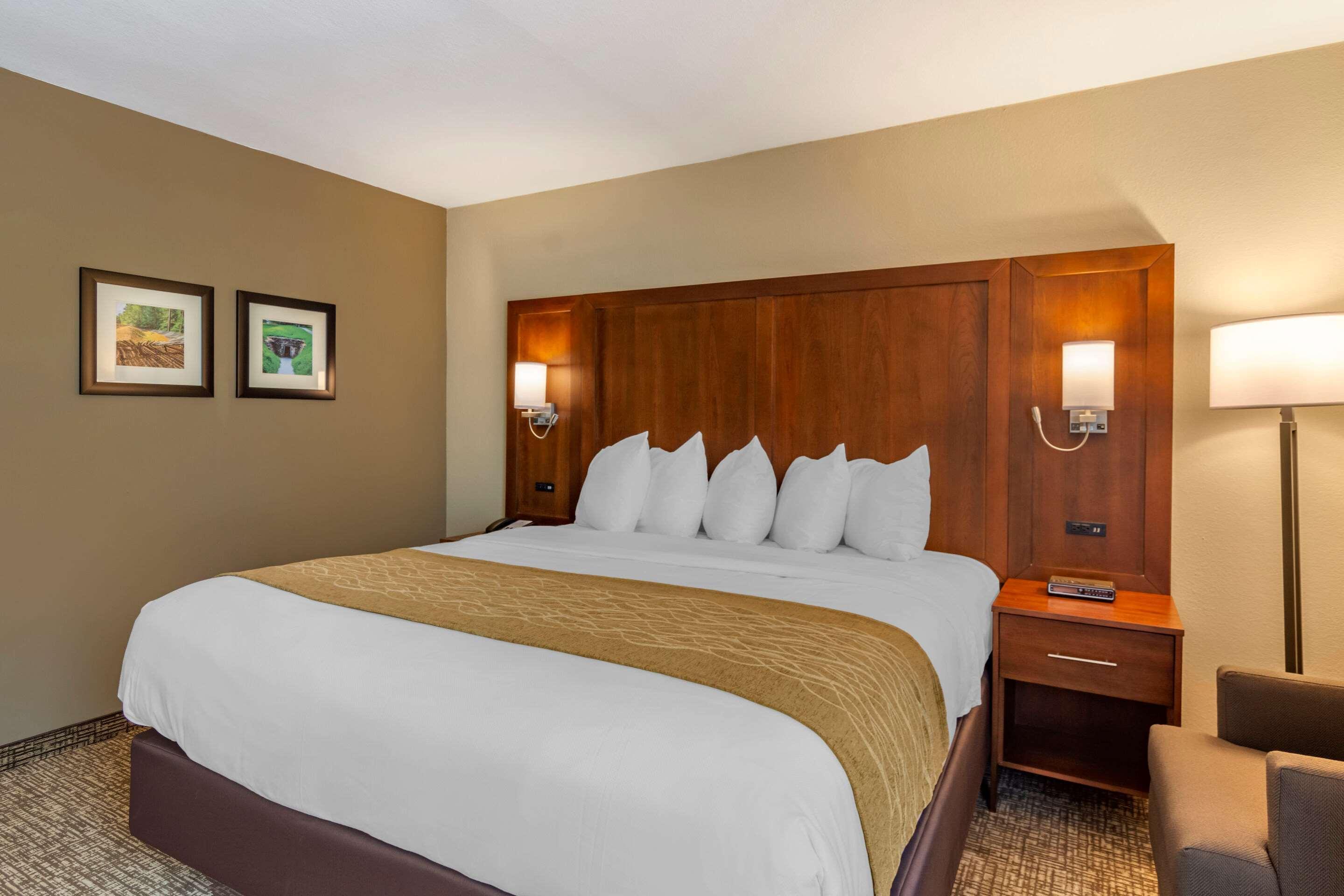 Comfort Inn Petersburg Near Fort Gregg-Adams Bagian luar foto