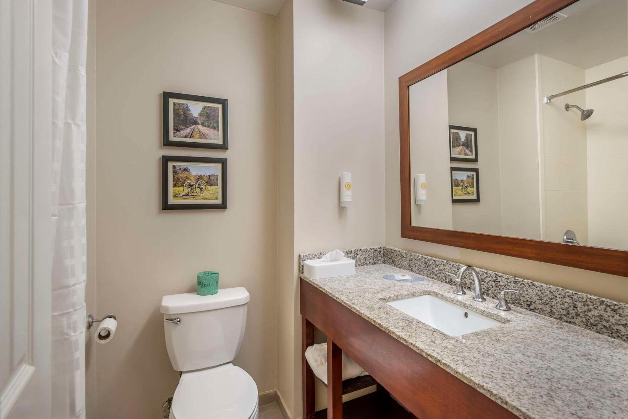 Comfort Inn Petersburg Near Fort Gregg-Adams Bagian luar foto