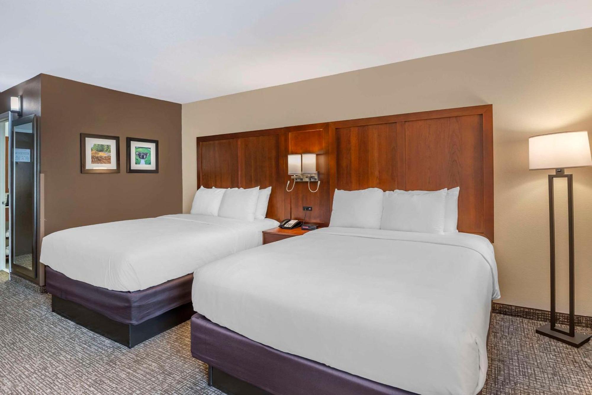 Comfort Inn Petersburg Near Fort Gregg-Adams Bagian luar foto