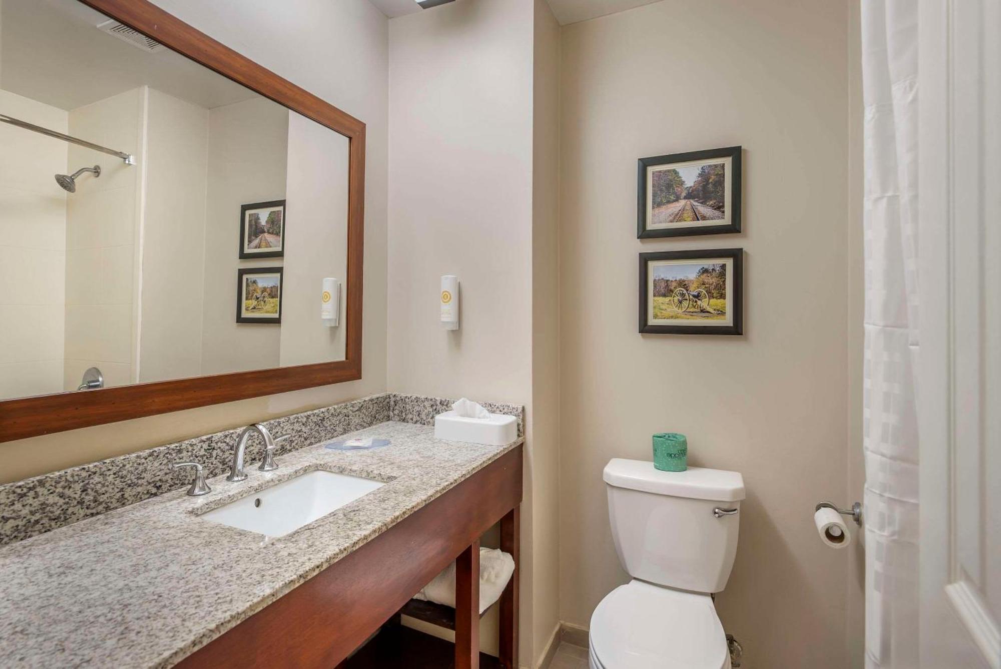Comfort Inn Petersburg Near Fort Gregg-Adams Bagian luar foto