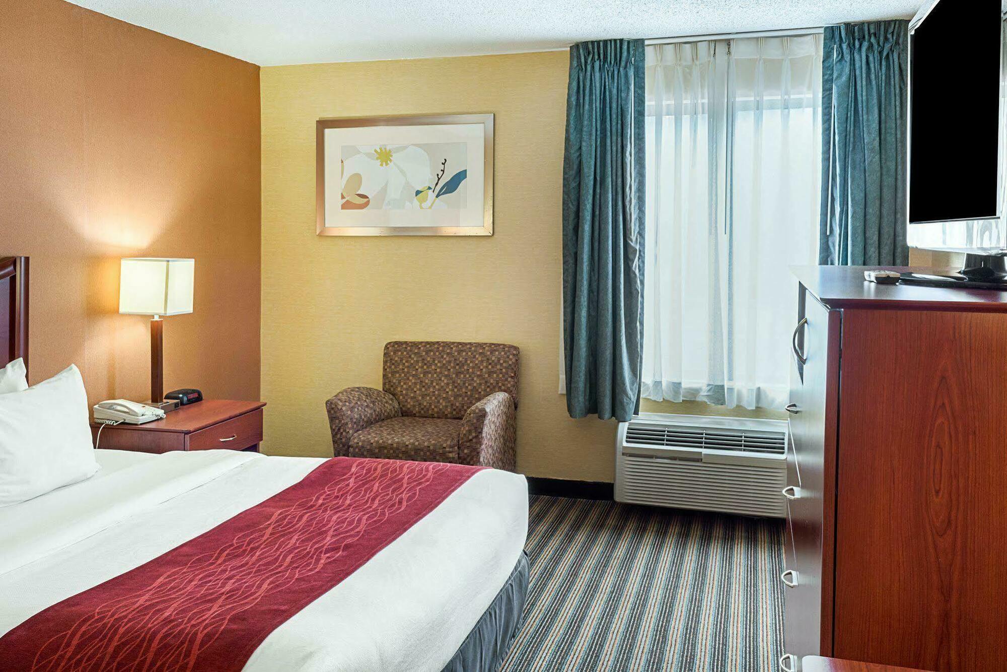 Comfort Inn Petersburg Near Fort Gregg-Adams Bagian luar foto