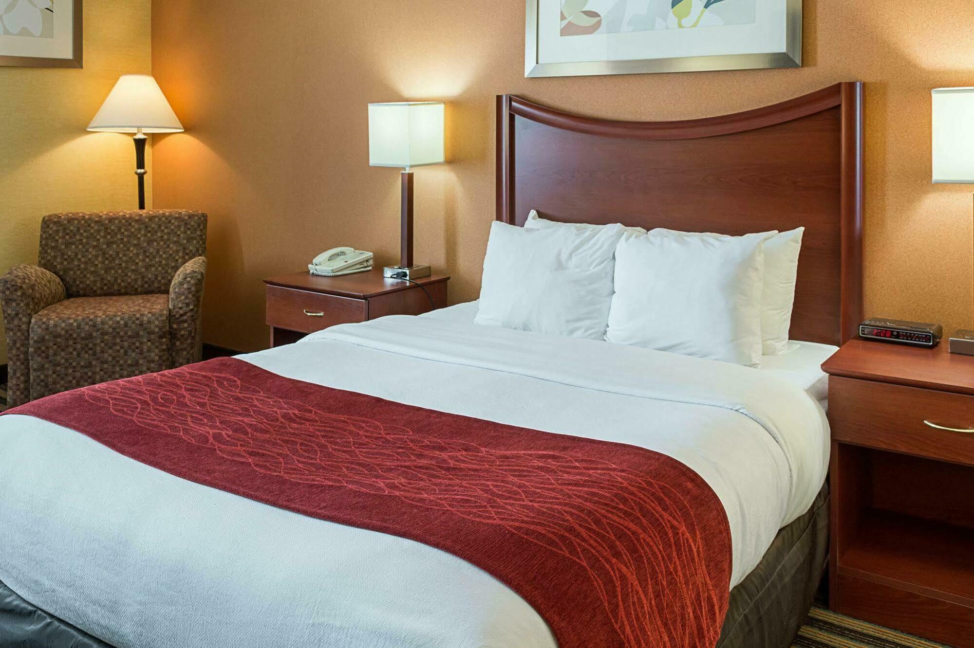 Comfort Inn Petersburg Near Fort Gregg-Adams Bagian luar foto