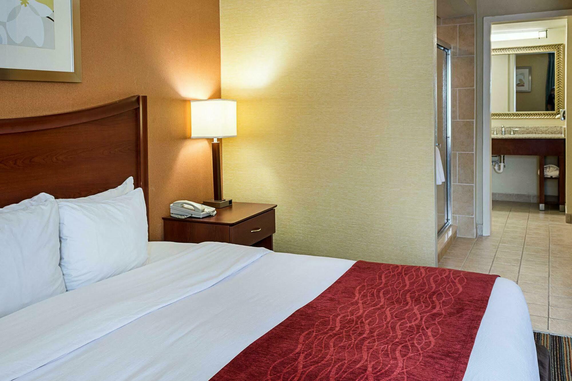 Comfort Inn Petersburg Near Fort Gregg-Adams Bagian luar foto